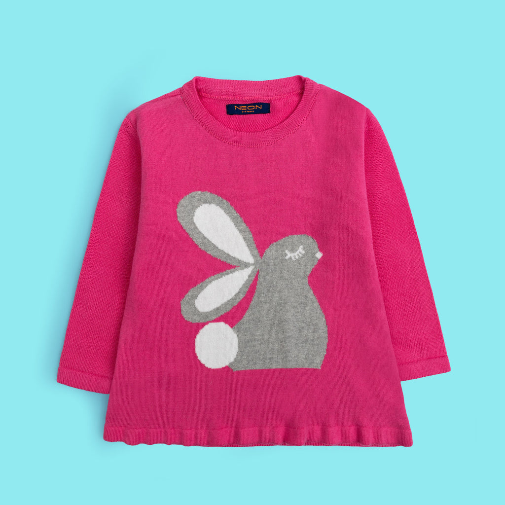 Girls sweater ( GSWT-17-W23)