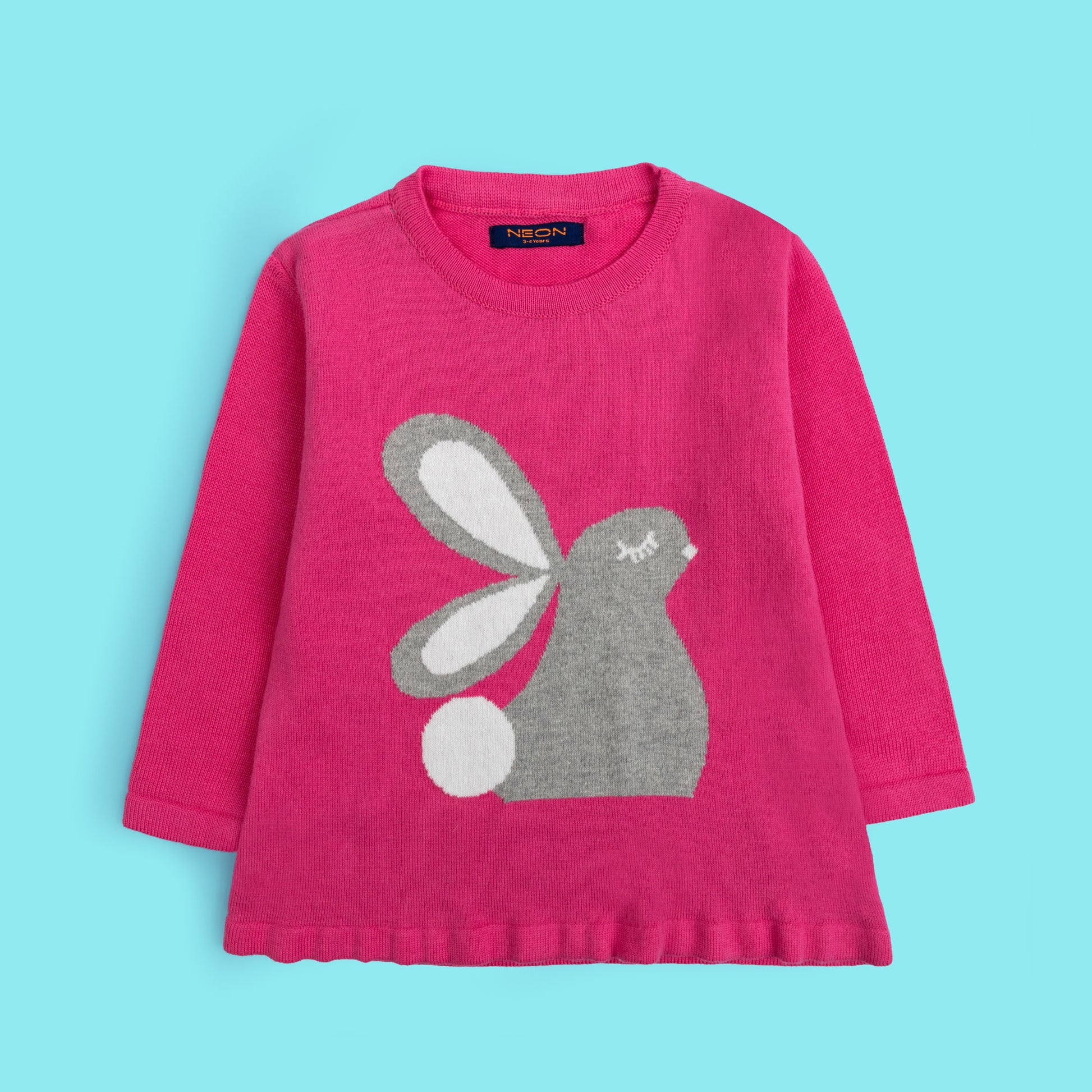 Girls sweater ( GSWT-17-W23)