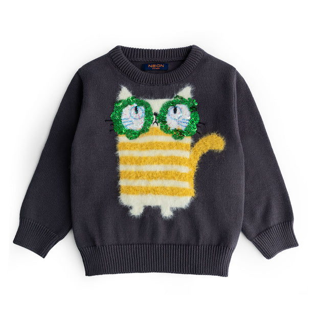 Girls Crew Neck Sweater