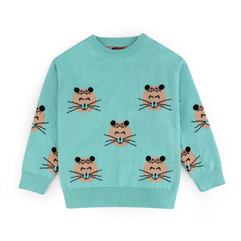 Girls Round Neck Sweater