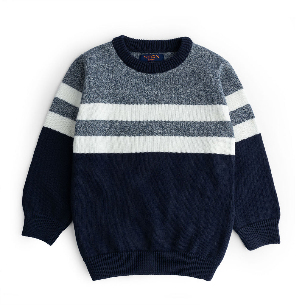 Boy's Crew Neck Sweater (BSWT12-W24)