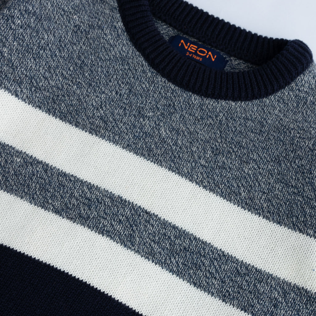 Boy's Crew Neck Sweater (BSWT12-W24)