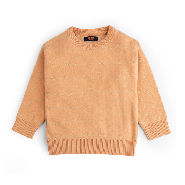 Jacquard Knit Sweater