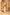 Printed Kameez Shalwar