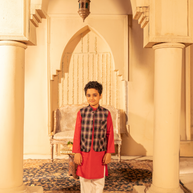 Plaid Cotton Waistcoat