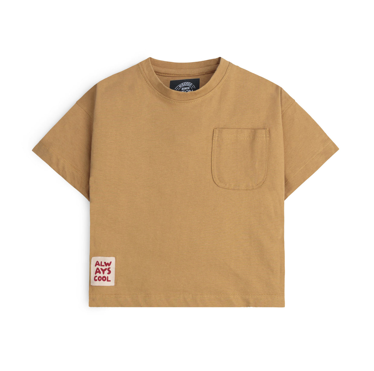 Boxy Fit Short Sleeve Tee