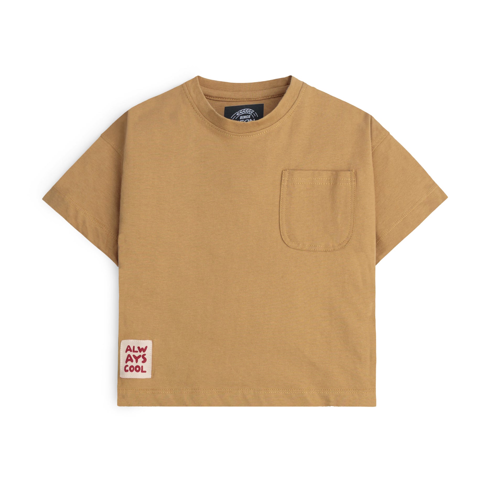 Boxy Fit Short Sleeve Tee
