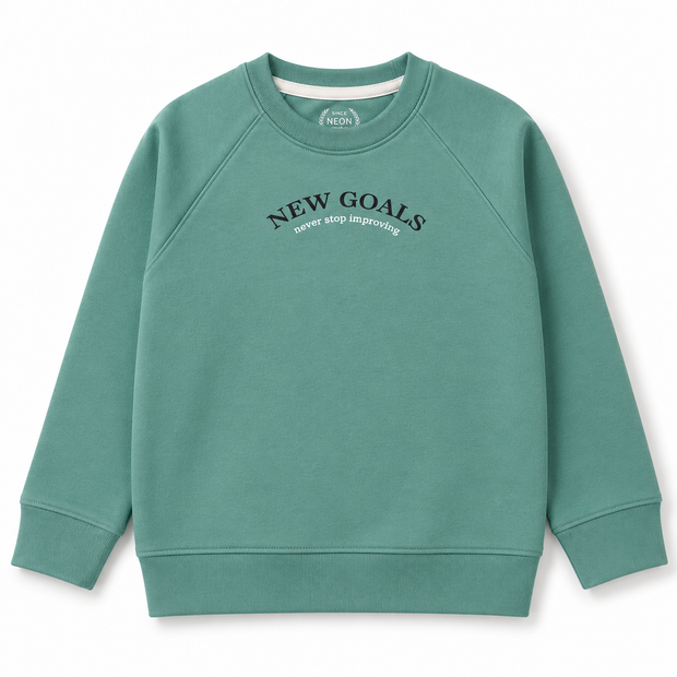 Front view of the boys sage-green fleece sweatshirt featuring a New Goals chest graphic, crew neckline, raglan sleeves and ribbed finishes.
