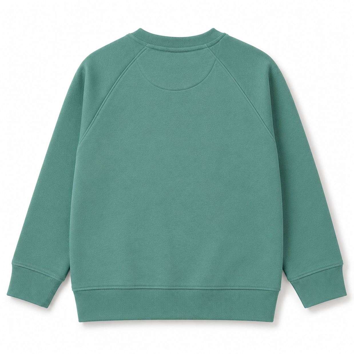 Back view of the boys sage-green fleece sweatshirt showing a clean plain design, raglan sleeve construction and ribbed finishes.