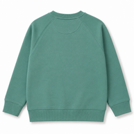 Back view of the boys sage-green fleece sweatshirt showing a clean plain design, raglan sleeve construction and ribbed finishes.