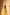 Printed Kameez Shalwar