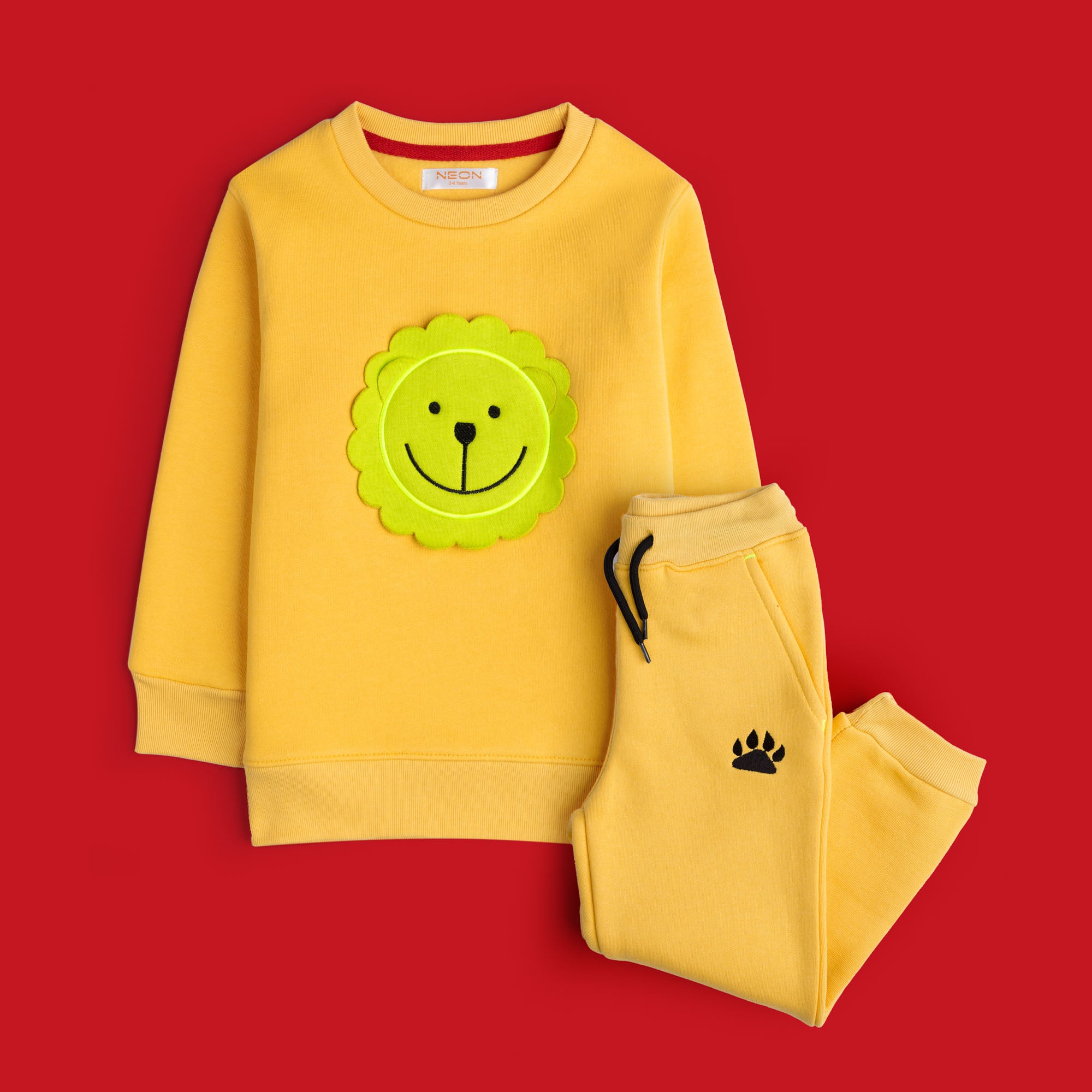 Girls Co-Ord set ( GCDS-07-W23)