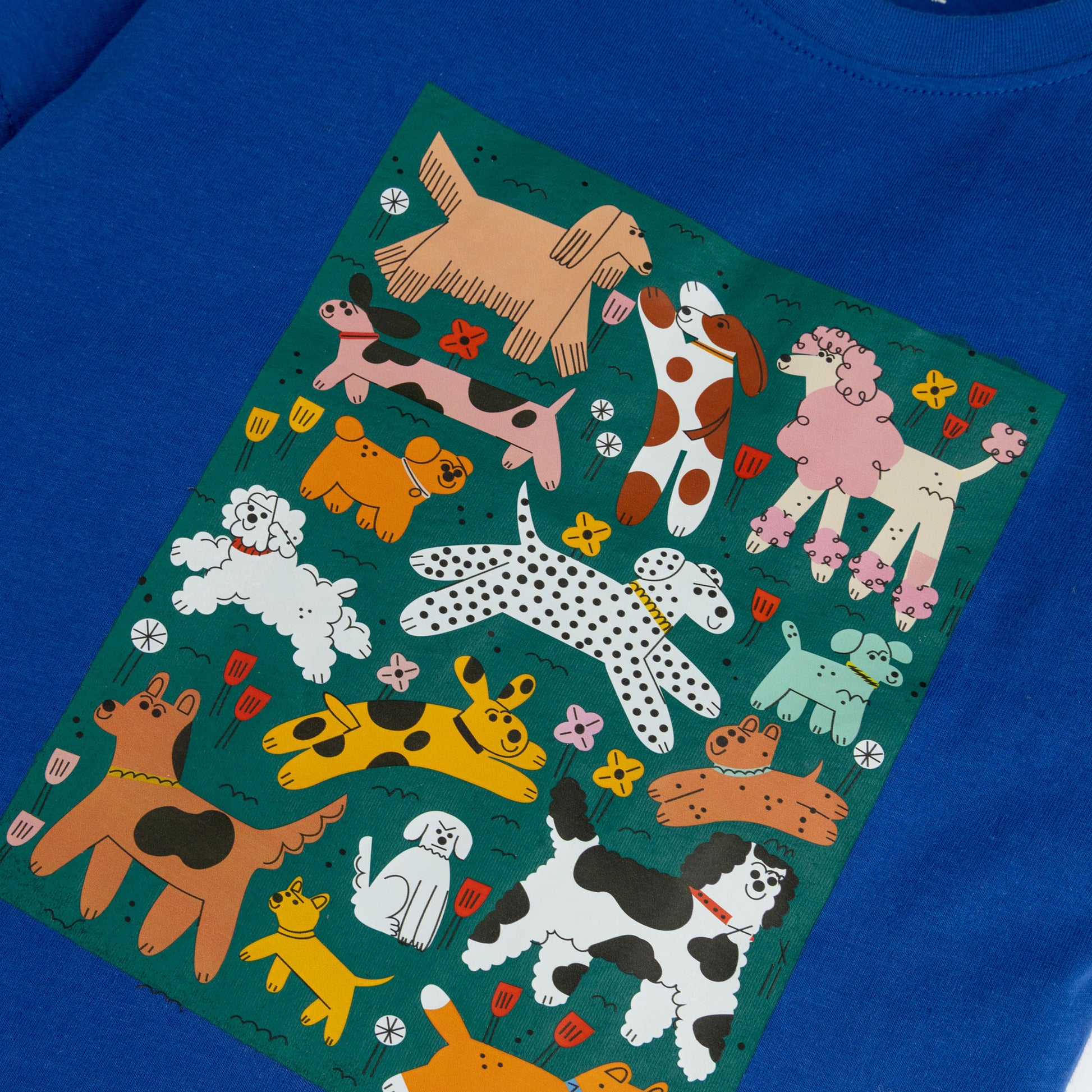 Boys Short Sleeve Tee