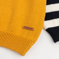 Color Block Striper Sweater