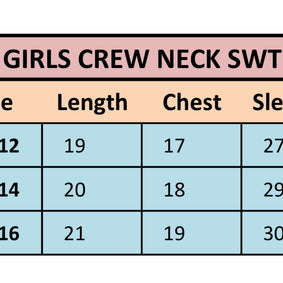Girls sweater ( GSWT-10-W23)