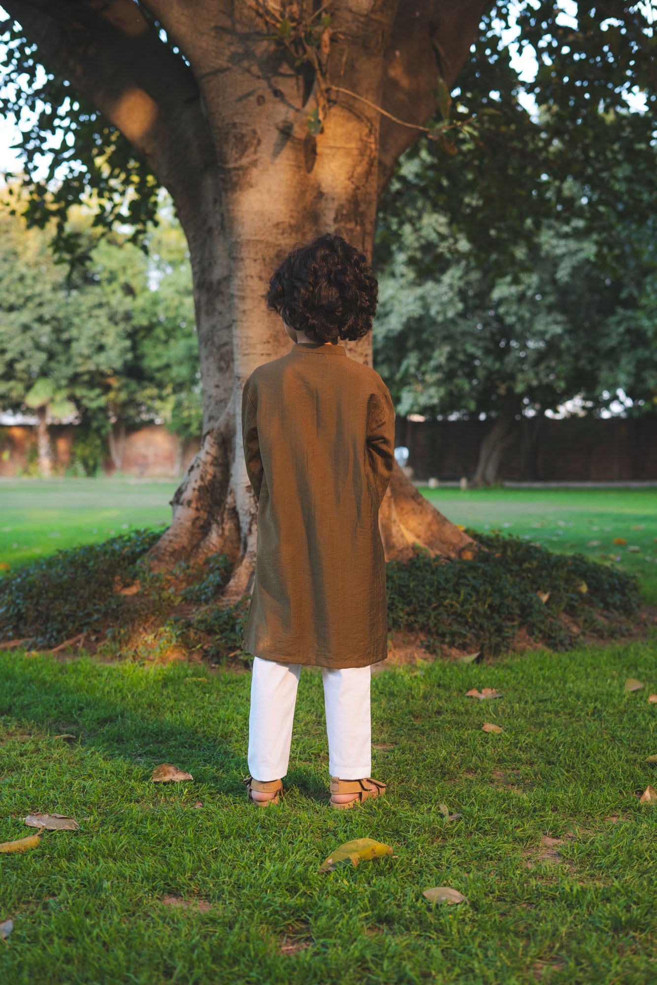 Classic Cotton Kurta