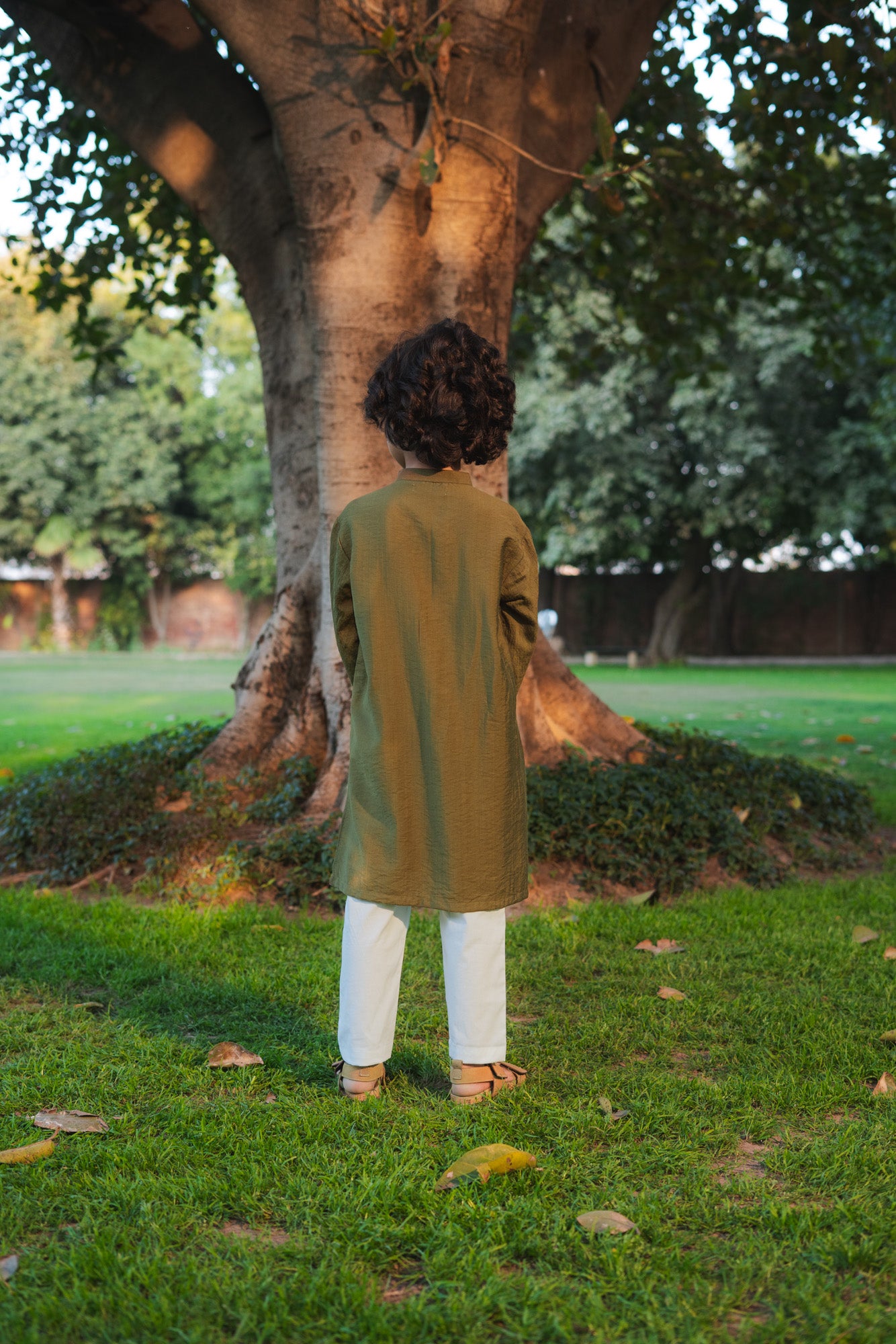Classic Cotton Kurta